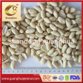 New Crop Blanched Peanut Kernels New Crop Healthy Hot Sale Half Split